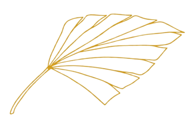 Gemini_Generated_Image_7lfj4i7lfj4i7lfj-removebg-preview