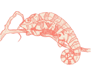 Gemini_Generated_Image_c1rdazc1rdazc1rd-removebg-preview